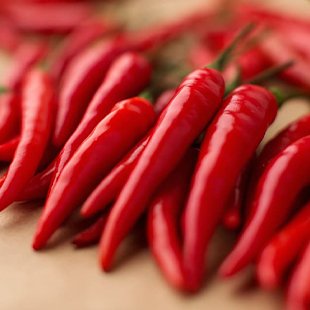 Chilli